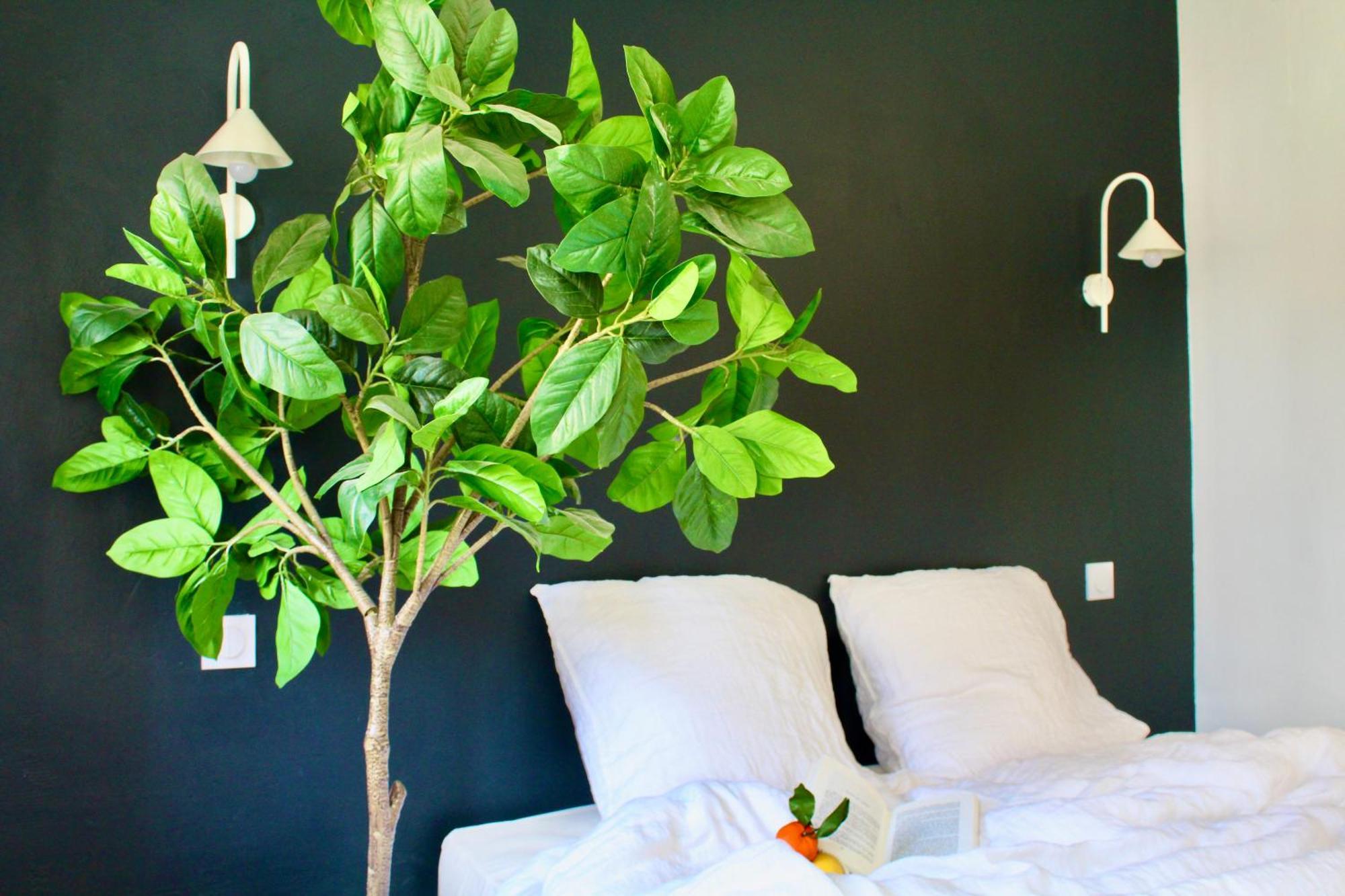 Maison Merci - Bed & Breakfast